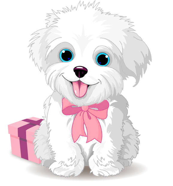 Peluqueria canina en Dénia(Alicante) para perros y gatos